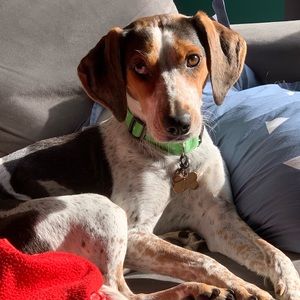 Meet your Posher, Matt